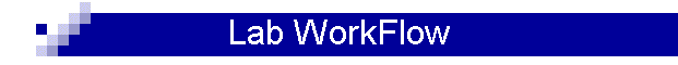 Lab WorkFlow